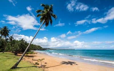 The 10 best kitesurfing spots in the Caribbean | École Kitesurf Var