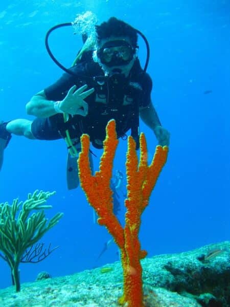 Plongee-Cavalaire-sur-Mer