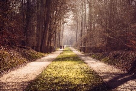 Sites-naturels-Giens